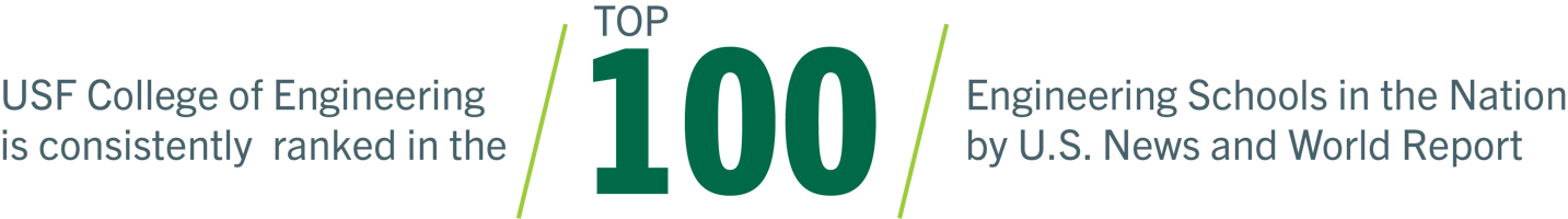 MSDI Digital Assets_top 100-1